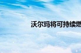 沃尔玛将可持续燃料注入电子商务网络