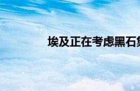 埃及正在考虑黑石集团收购发电厂的提议