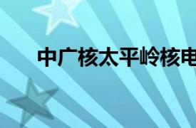 中广核太平岭核电站1号机组热试完成