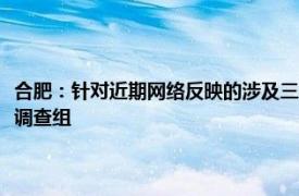 合肥：针对近期网络反映的涉及三只羊网络科技有限公司有关问题成立联合调查组