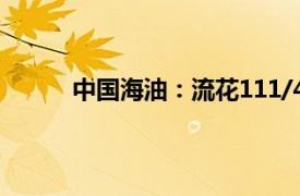 中国海油：流花111/41油田二次开发项目投产