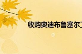 收购奥迪布鲁塞尔工厂蔚来表示暂无回应