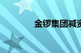 金锣集团减资至5.01亿美元