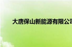 大唐保山新能源有限公司成立，注册资本2380.8万