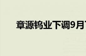 章源钨业下调9月下半月长单采购报价