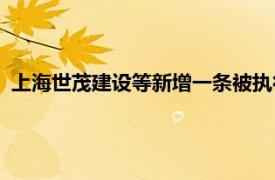 上海世茂建设等新增一条被执行人信息，执行标的14.68亿余元