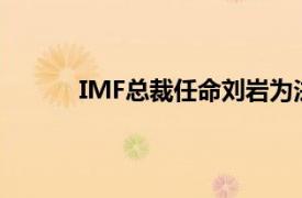 IMF总裁任命刘岩为法律总顾问兼法律部主任