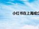 小红书在上海成立新公司，注册资本1980万