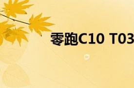 零跑C10 T03正式在欧洲上市