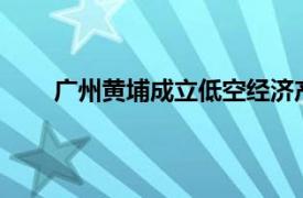 广州黄埔成立低空经济产投基金，出资额5.11亿元