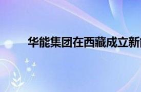 华能集团在西藏成立新能源公司，注册资本1亿元