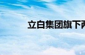 立白集团旗下两家海南公司减资