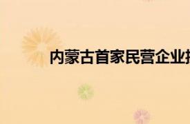 内蒙古首家民营企业投建增量配电网项目投运