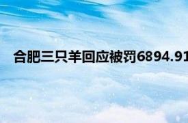 合肥三只羊回应被罚6894.91万元：将全面开展公司内部整顿