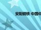 安阳钢铁 中国中冶等成立电磁新材料公司