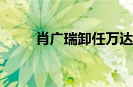 肖广瑞卸任万达旗下三家公司职务