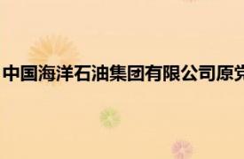 中国海洋石油集团有限公司原党组副书记 董事 总经理李勇被逮捕