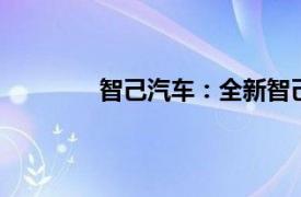 智己汽车：全新智己LS6大定已超1.1万台