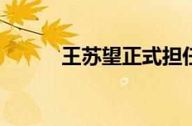 王苏望正式担任国投证券总经理