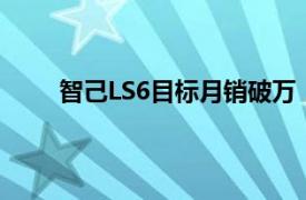 智己LS6目标月销破万，刘涛：明年将推增程产品