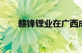 赣锋锂业在广西成立新能源科技公司