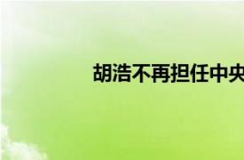 胡浩不再担任中央汇金公司监事长职务