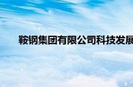 鞍钢集团有限公司科技发展部原部长张立芬接受审查调查