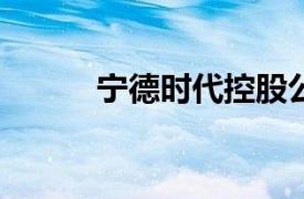 宁德时代控股公司增资至4.95亿