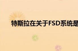 特斯拉在关于FSD系统是否误导投资者的诉讼中胜诉