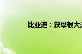 比亚迪：获摩根大通增持近18亿港元H股