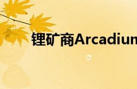 锂矿商Arcadium确认力拓收购计划