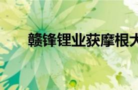 赣锋锂业获摩根大通增持213.35万股