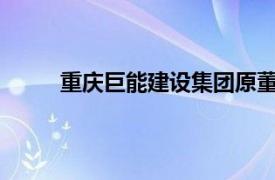 重庆巨能建设集团原董事长刘英杰接受审查调查