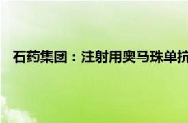 石药集团：注射用奥马珠单抗获国家药品监督管理局批准上市