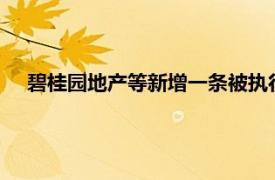 碧桂园地产等新增一条被执行人信息，执行标的约2.24亿元