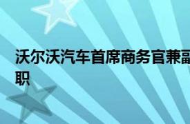 沃尔沃汽车首席商务官兼副首席执行官Bjorn Annwall将离职