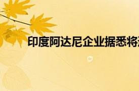 印度阿达尼企业据悉将通过出售股票融资5亿美元