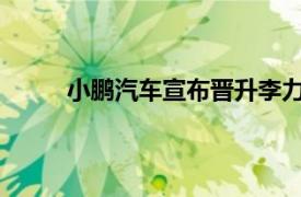 小鹏汽车宣布晋升李力耘与郑叶青为公司副总裁