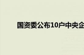 国资委公布10户中央企业12名领导人员职务任免