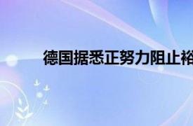 德国据悉正努力阻止裕信银行收购德国商业银行