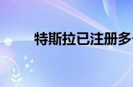 特斯拉已注册多个CYBER系列商标