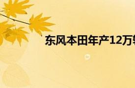 东风本田年产12万辆新能源汽车工厂投产