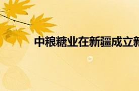 中粮糖业在新疆成立新公司，注册资本2000万