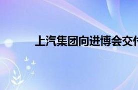 上汽集团向进博会交付750辆“政要接待用车”