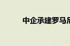 中企承建罗马尼亚光伏项目开工