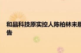 和晶科技原实控人陈柏林未履行金额超千万元，法院发布悬赏公告