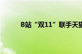 B站“双11”联手天猫推出万名UP主直播专场