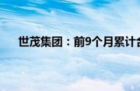 世茂集团：前9个月累计合约销售总额约为253.5亿元