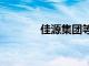 佳源集团等被强制执行3.3亿