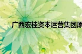 广西宏桂资本运营集团原副总经理吴大奎被提起公诉